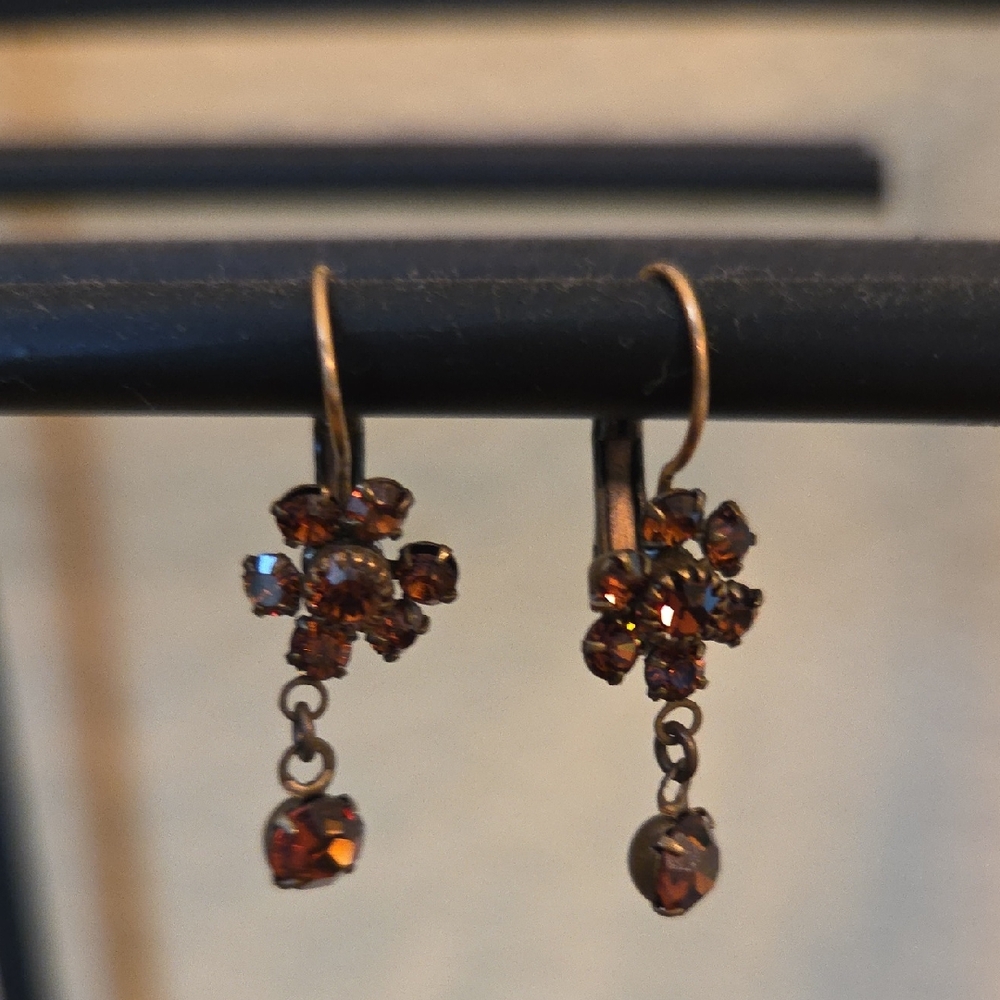 Elegant Brown Crystal Drop Earrings